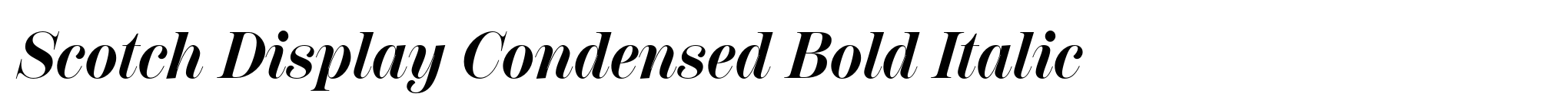 Scotch Display Condensed Bold Italic image
